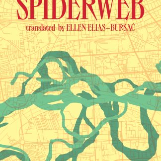 Cover of the Nada Gašić novel Water, Spiderweb