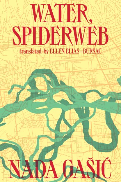 Cover of the Nada Gašić novel Water, Spiderweb