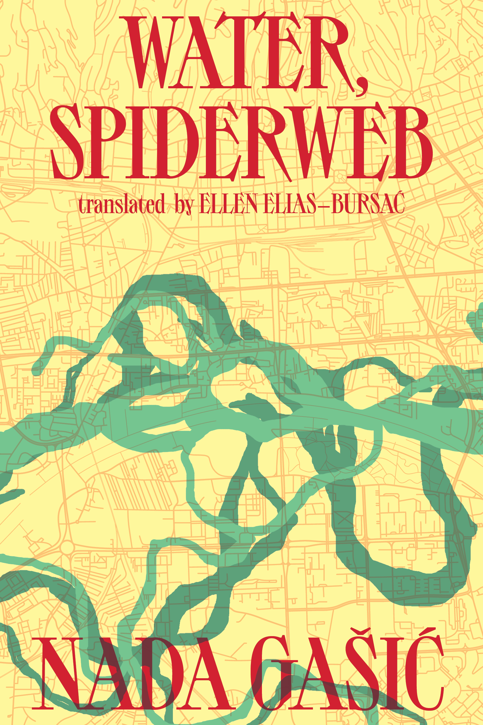 Cover of the Nada Gašić novel Water, Spiderweb